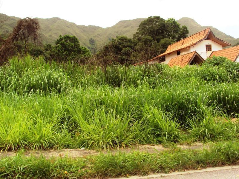 Terreno en venta en Maracay El Castaño Zona Privada