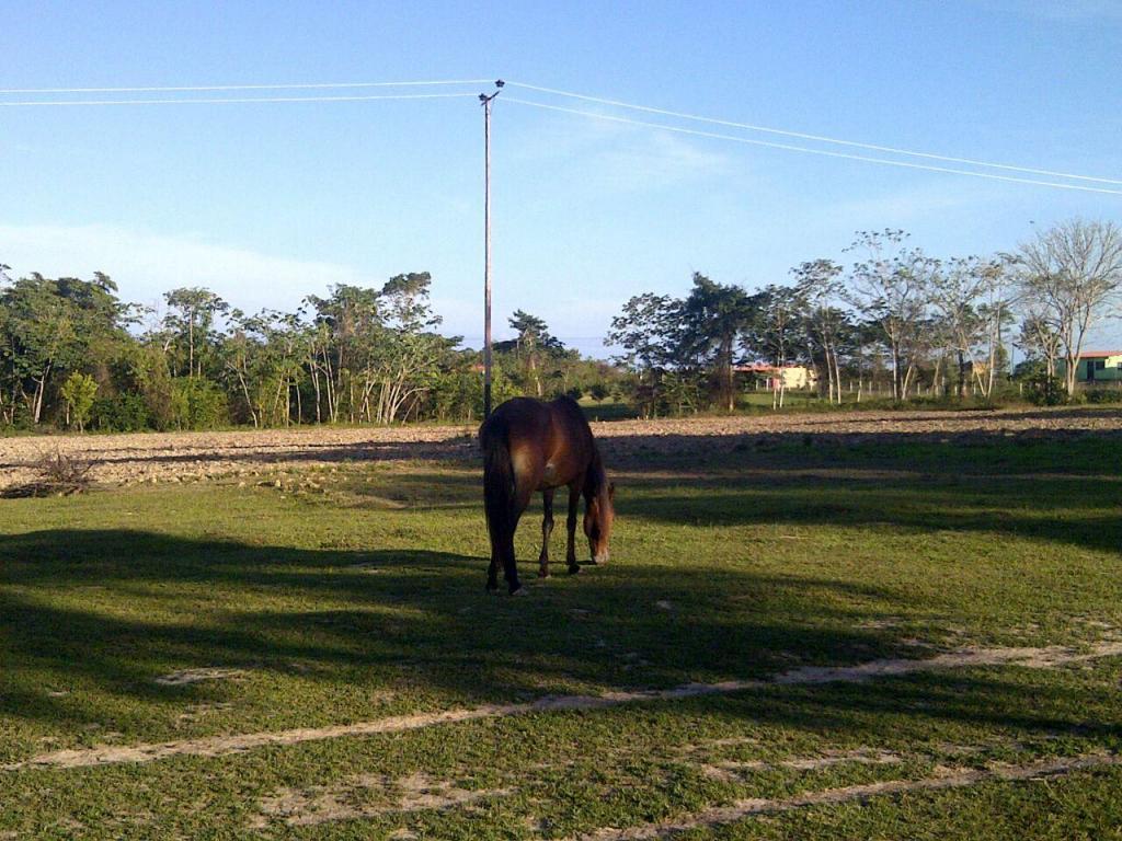 vendo pequeña finca 15 hectarias con 9996M/2