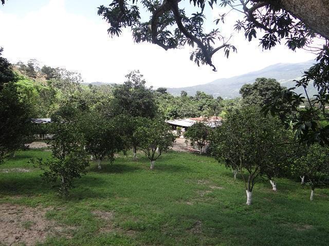 Mini Finca en los Valles Altos de  Aguirre Montalban