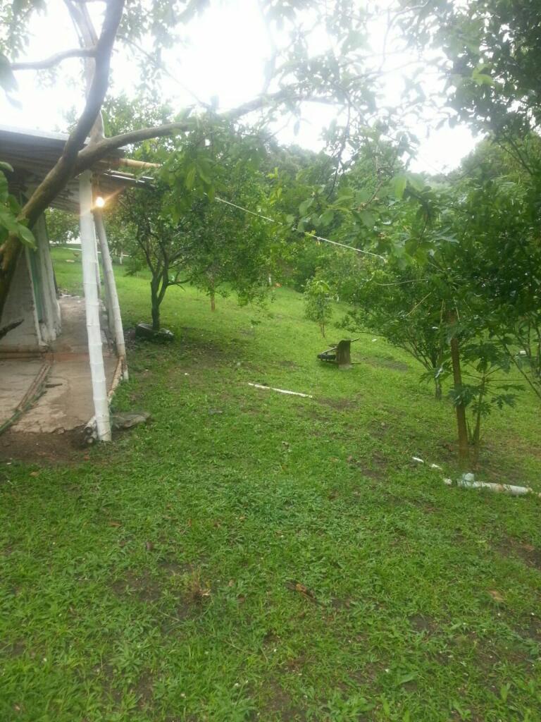 Vendo o cambio granja a 10 minutos de la alcabala del mirador