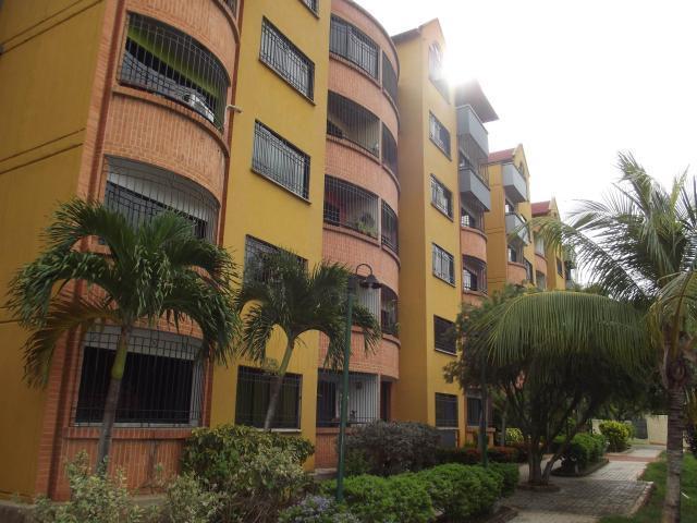 Se Vende ApartamentoPentHouse en EL Poblado de San Diego,  Edo Carabo