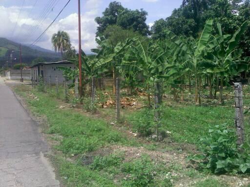 Venta de casa con terreno en sector gavilancito estado