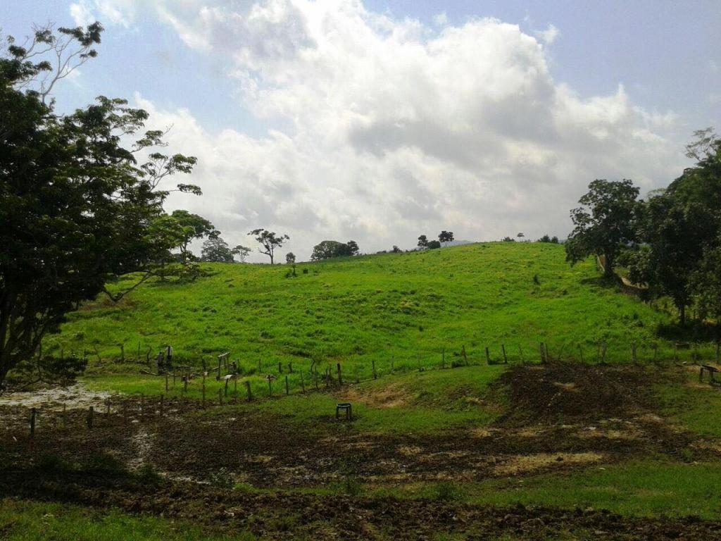 Hacienda de 400 hectareas  con 190 amimales