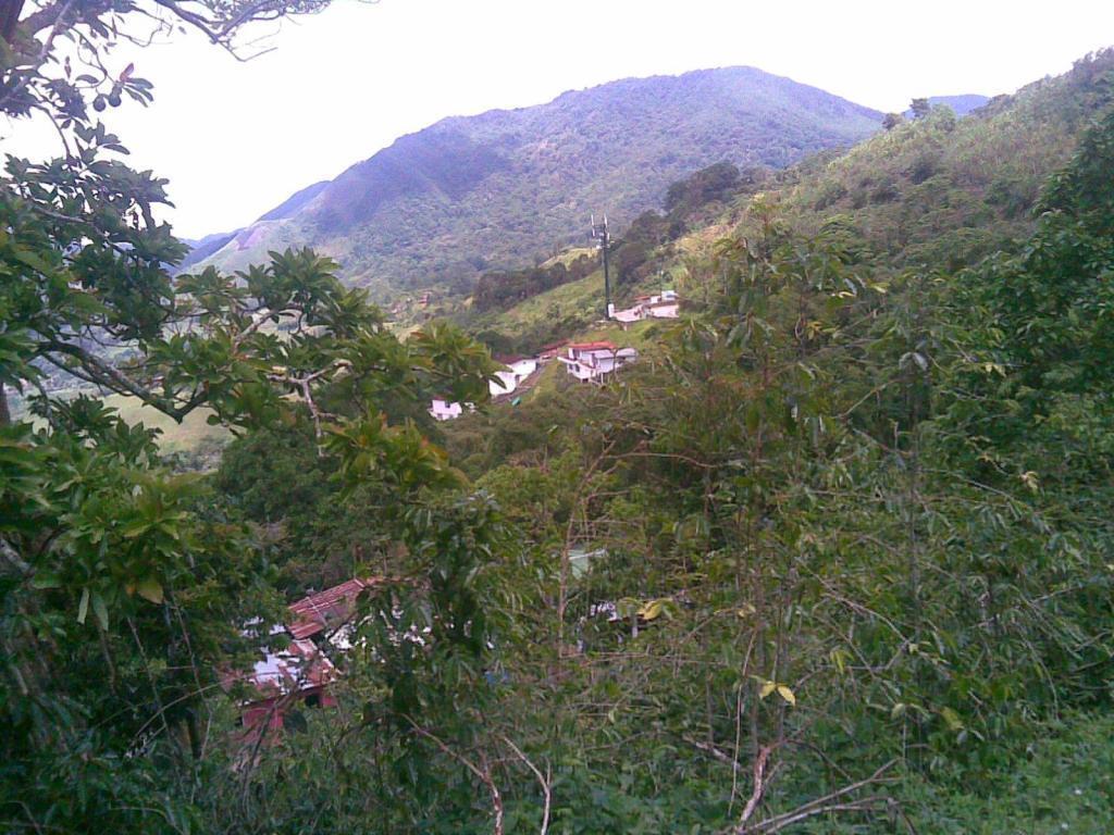 Se Vende Hacienda 100 Hectáreas de Terrenos cuenta con matas de Café, Naranja, Cambur. En  El Guacharo Maturin