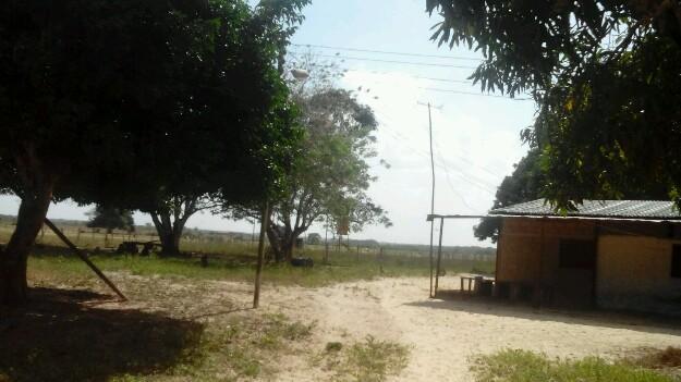 VENDO FINCA DE 600 HA EN ARIBI