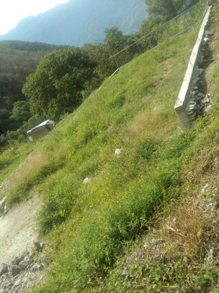 OFERTA!! TERRENO EN POZO AZUL ANTES DE LA ENTRADA A LOS CUROS