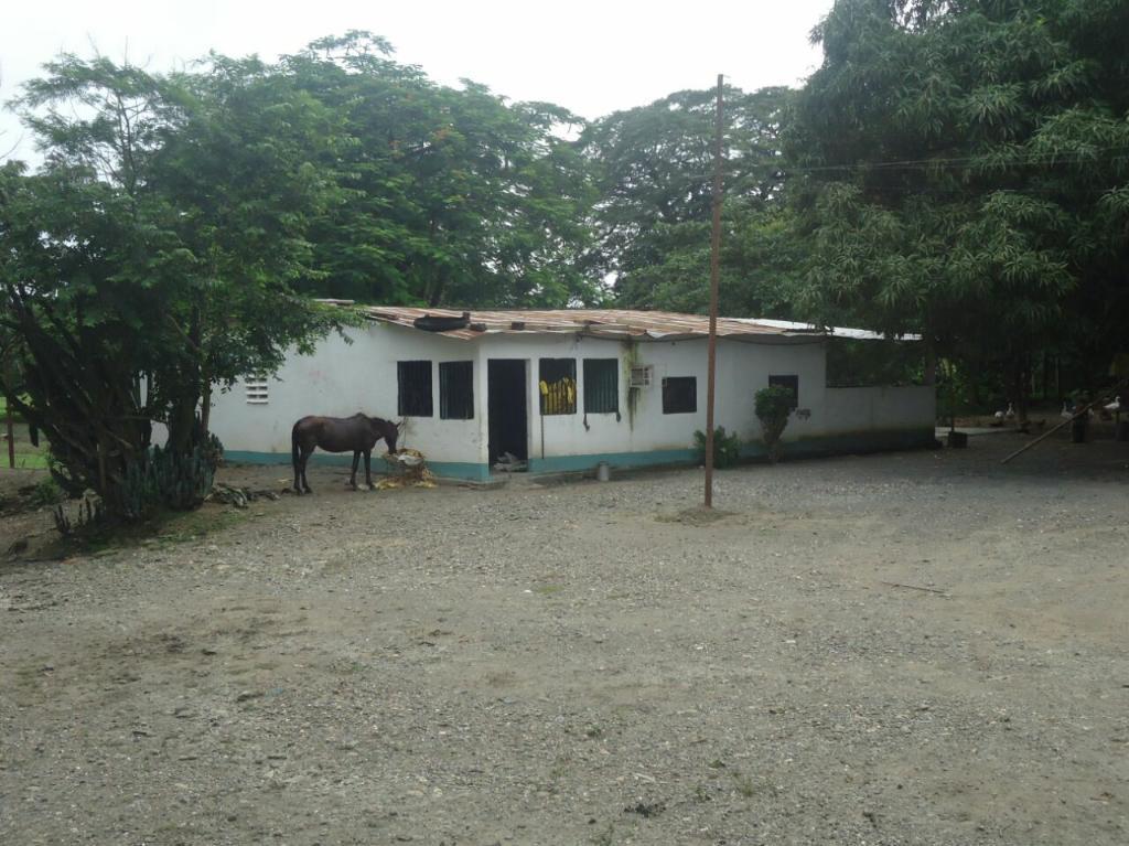 Finca en El Estado Portuguesa Ospino