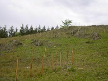 se vende terreno en tejerias