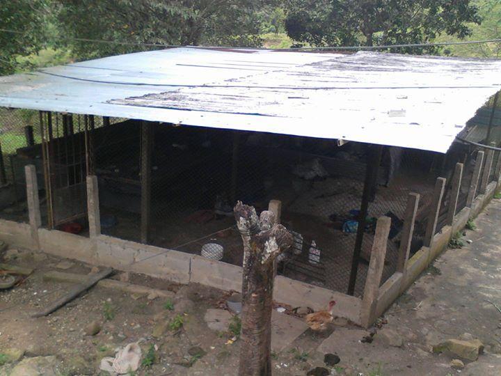 se vende finca de 7 hectareas 2196 metros cuadrados