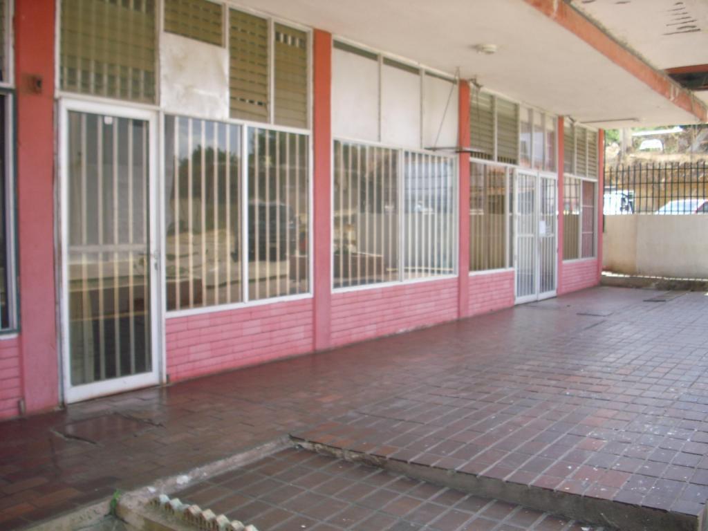 Locales Comerciales en Anzoategui