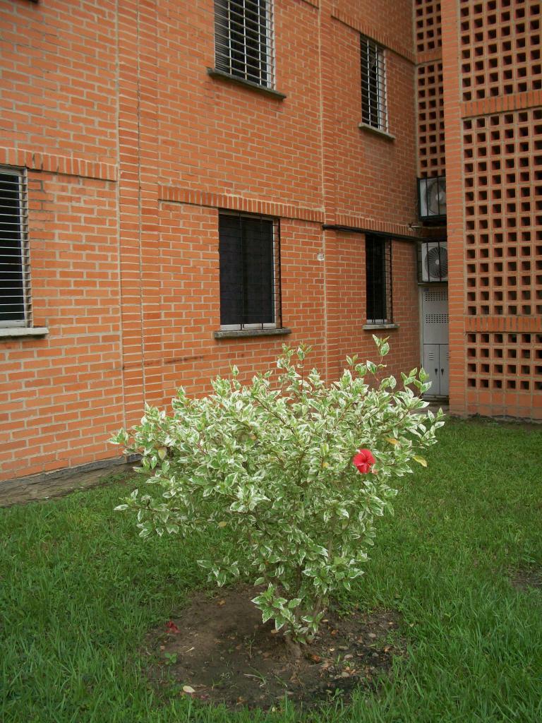 EN VENTA ESPECTACULAR APARTAMENTO EN TULIPAN