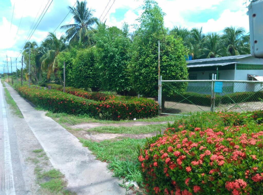 Vendo Casa Campestre Mas Platanera