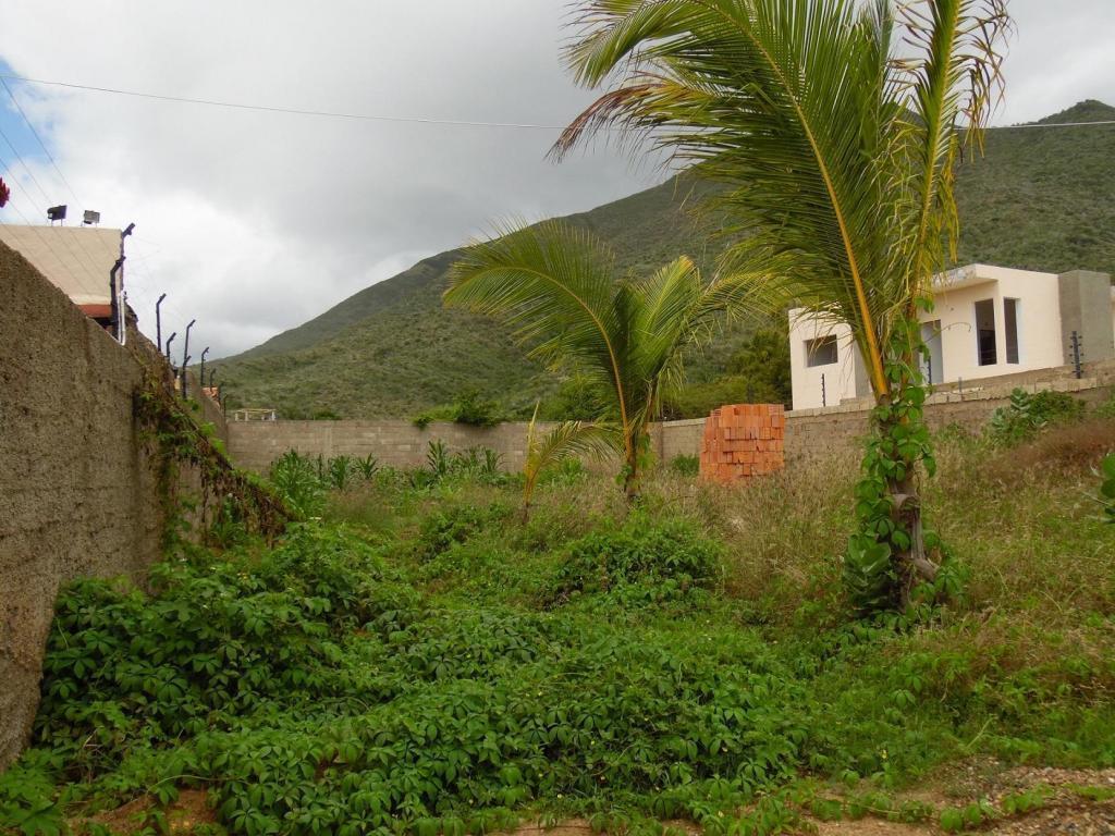 Terreno en Guacuco