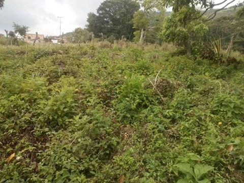 terreno ubicado en la perla mas arriba de copa de oro de 142 mtr2 con opcion a casa vendo o cambio por vehiculo