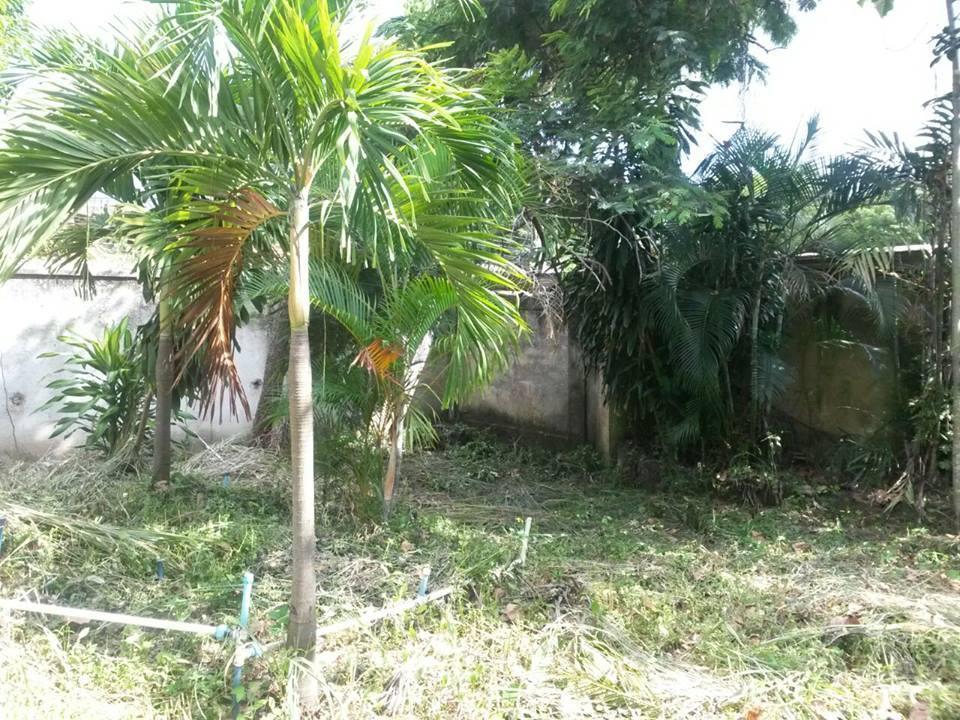 Terreno en Guataparo 1067m