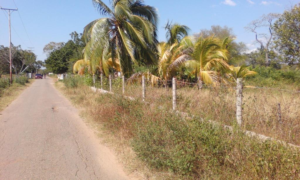 Granja en Ojeda por no atender se vende