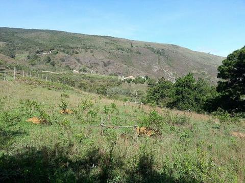 TERRENO EN EL SECTOR EL ORO, VÍA CASA DEL PADRE