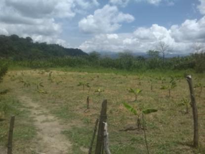 cambio por casa en barinitas