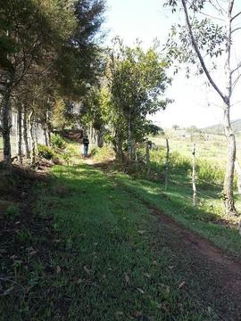 TERRENO EN EL SECTOR EL ORO, VÍA CASA DEL PADRE