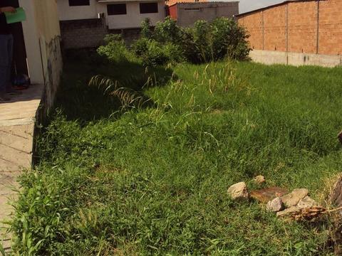 TERRENO CATOLICA