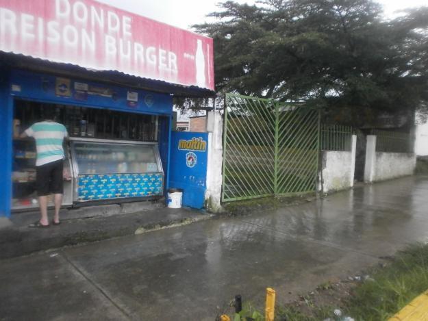 Se vende terreno en la avenida españa al lado de andes gourmet a 100 mt de la redoma de los arbolitos 233.27 mt2