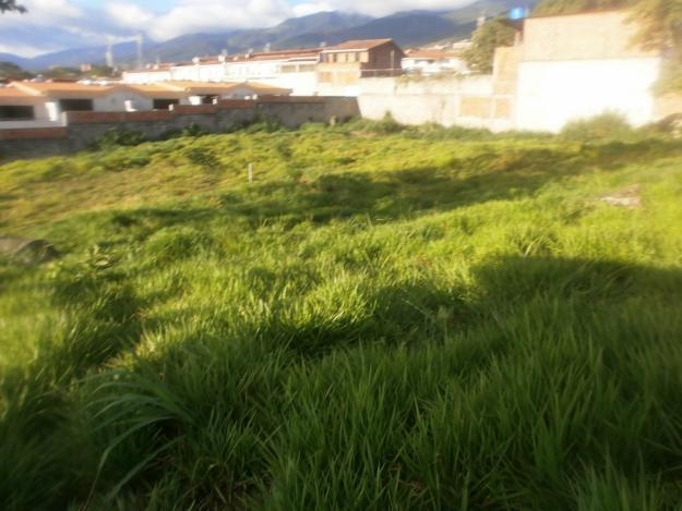 Se vende terreno en la avenida españa al lado de andes gourmet a 100 mt de la redoma de los arbolitos de 209 mt2