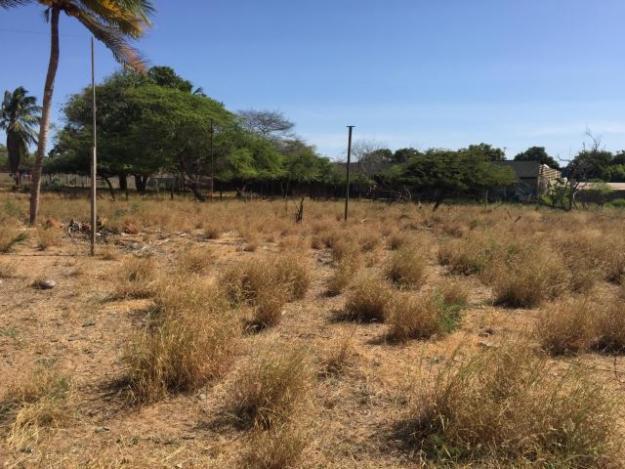 Terreno en Venta en Parcelamiento El Rosario MLS 16897