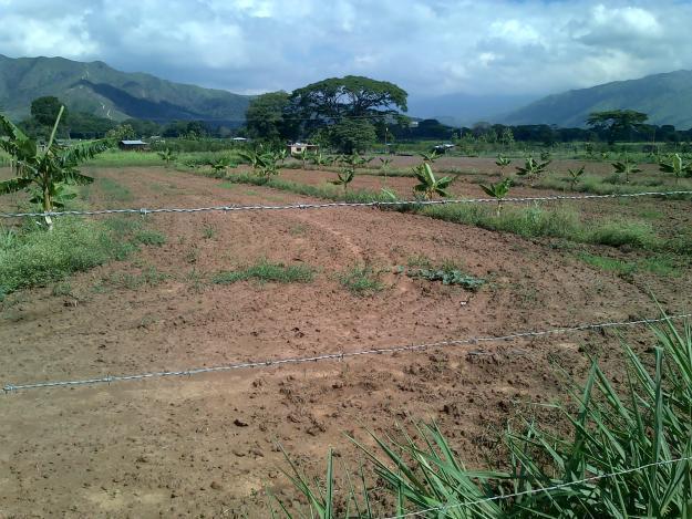 Vendo terreno en , Sector Macomaco