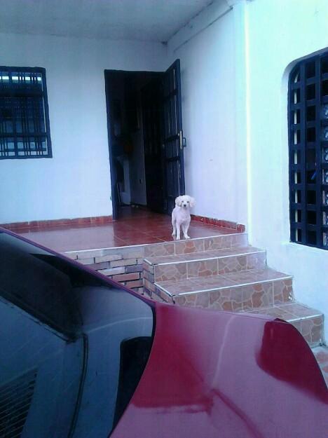 vendo casa en urb don samuel