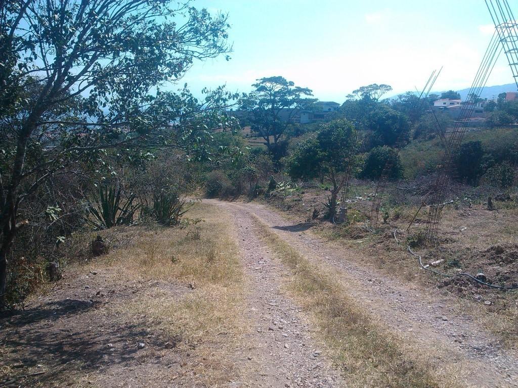 EXCELENTE OPORTUNIDAD !!! TERRENOS PLANOS EN CANEYES SECTOR LOS CEIBOS PARTE ALTA